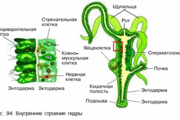 Главная страница кракен
