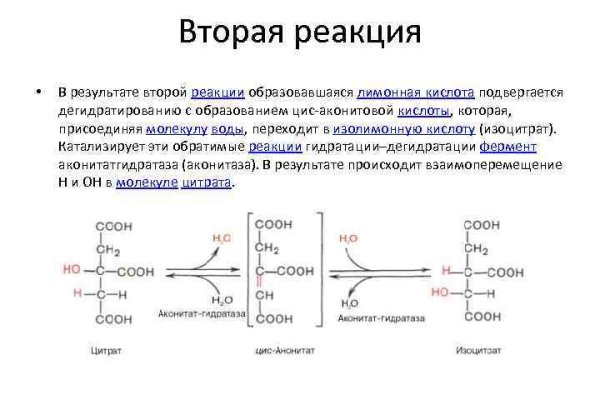 Кракен наркотики россия