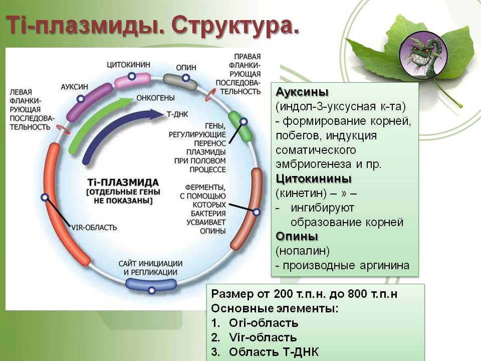 Kraken 2025 ссылка