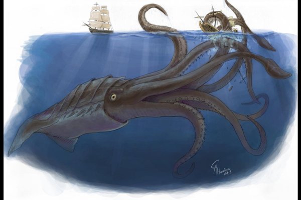 Kraken ссылка kraken torion