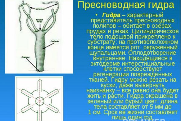 Кракен магазин ссылка
